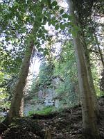  (C) 2009 by G. Doczkal, 
Felsen, 
Großes Loch bei Loffenau, Baden-Württemberg, Germany
