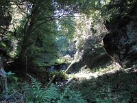  (C) 2009 by G. Doczkal, 
Zufluss zum Laufbach, 
Großes Loch bei Loffenau, Baden-Württemberg, Germany