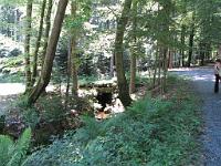  (C) 2009 by G. Doczkal, 
Die Axtlohbrücke, 
48.755535°N/8.421356°E, 1.52  Km von Zieflesberg, Baden-Württemberg, Germany