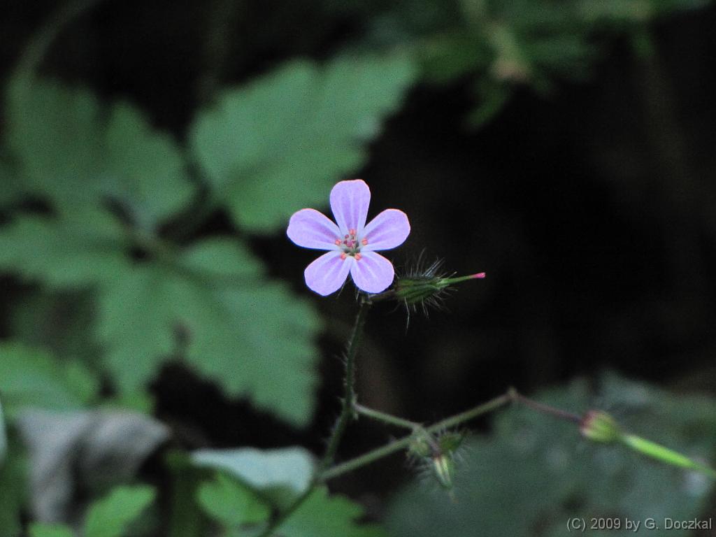 20090801-100912-12