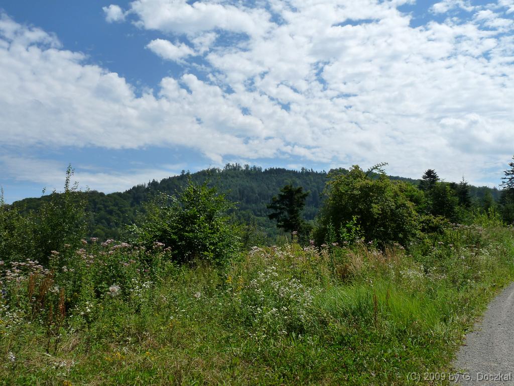 20090801-125638-103