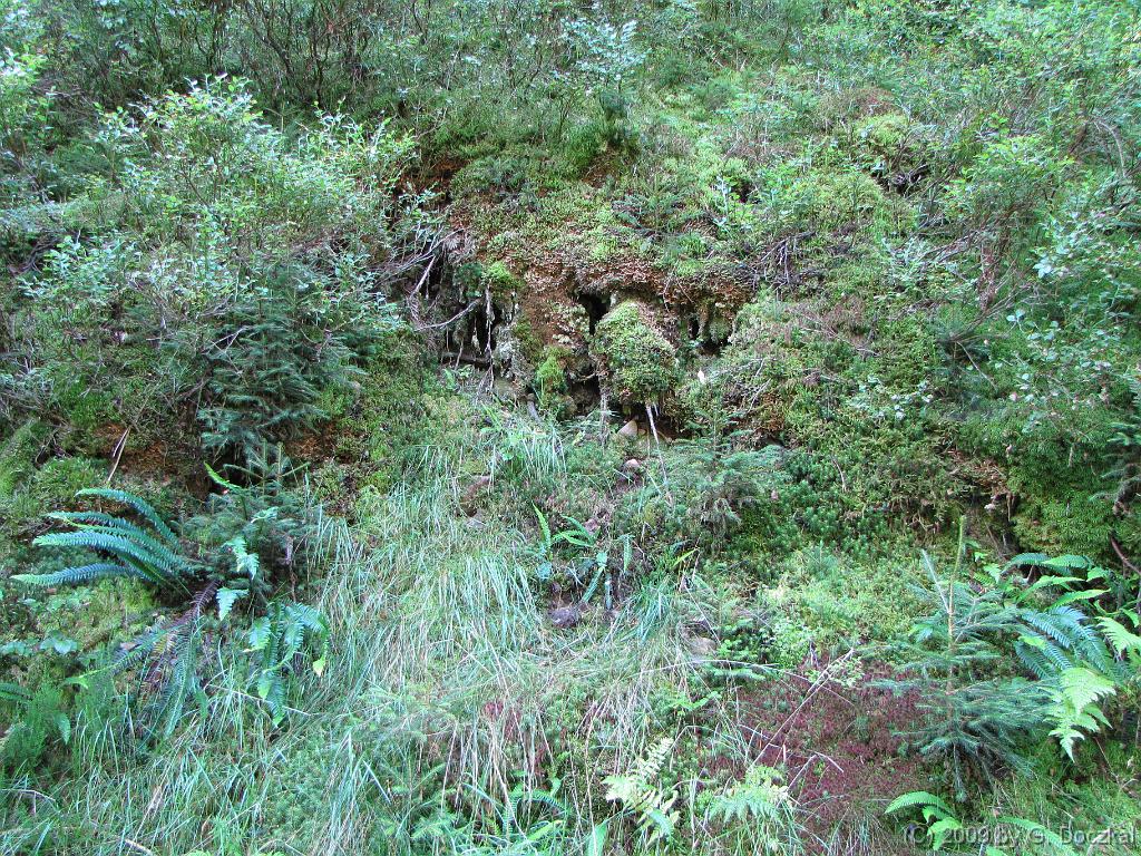 20090815-113602-43