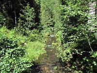  (C) 2009 by G. Doczkal, 
Bachlauf, 
Holzmacherrundweg bei Tonbach, Baden-Württemberg, Germany
