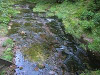  (C) 2009 by G. Doczkal, 
Bachlauf, 
Holzmacherrundweg bei Tonbach, Baden-Württemberg, Germany