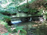  (C) 2009 by G. Doczkal, 
Kleiner Wasserfall, 
Holzmacherrundweg bei Tonbach, Baden-Württemberg, Germany