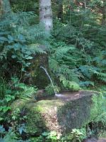  (C) 2009 by G. Doczkal, 
Brunnen, 
Holzmacherrundweg bei Tonbach, Baden-Württemberg, Germany