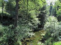  (C) 2009 by G. Doczkal, 
Bachlauf, 
Holzmacherrundweg bei Tonbach, Baden-Württemberg, Germany
