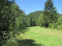  (C) 2009 by G. Doczkal, 
Waldwiese, 
Holzmacherrundweg bei Tonbach, Baden-Württemberg, Germany