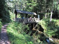  (C) 2009 by G. Doczkal, 
Wehr, 
Holzmacherrundweg bei Tonbach, Baden-Württemberg, Germany