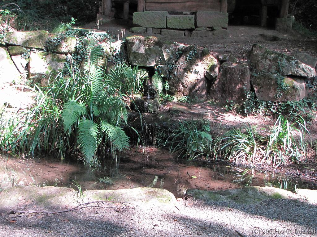 20090819-111057-43