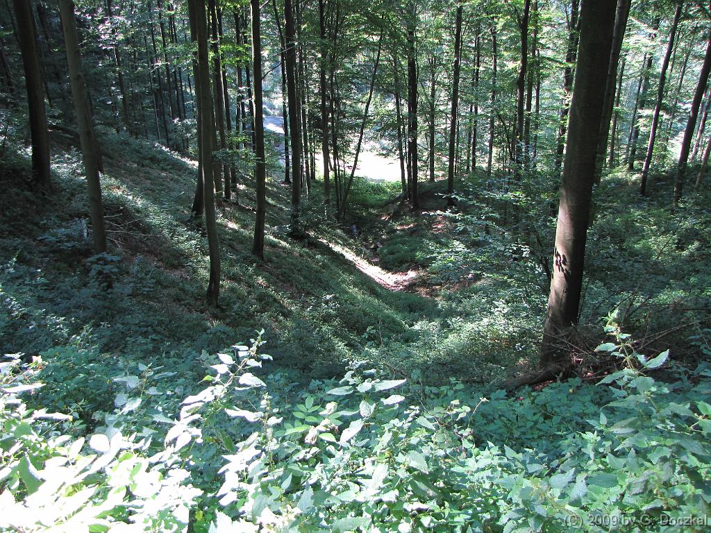 20090819-115414-55