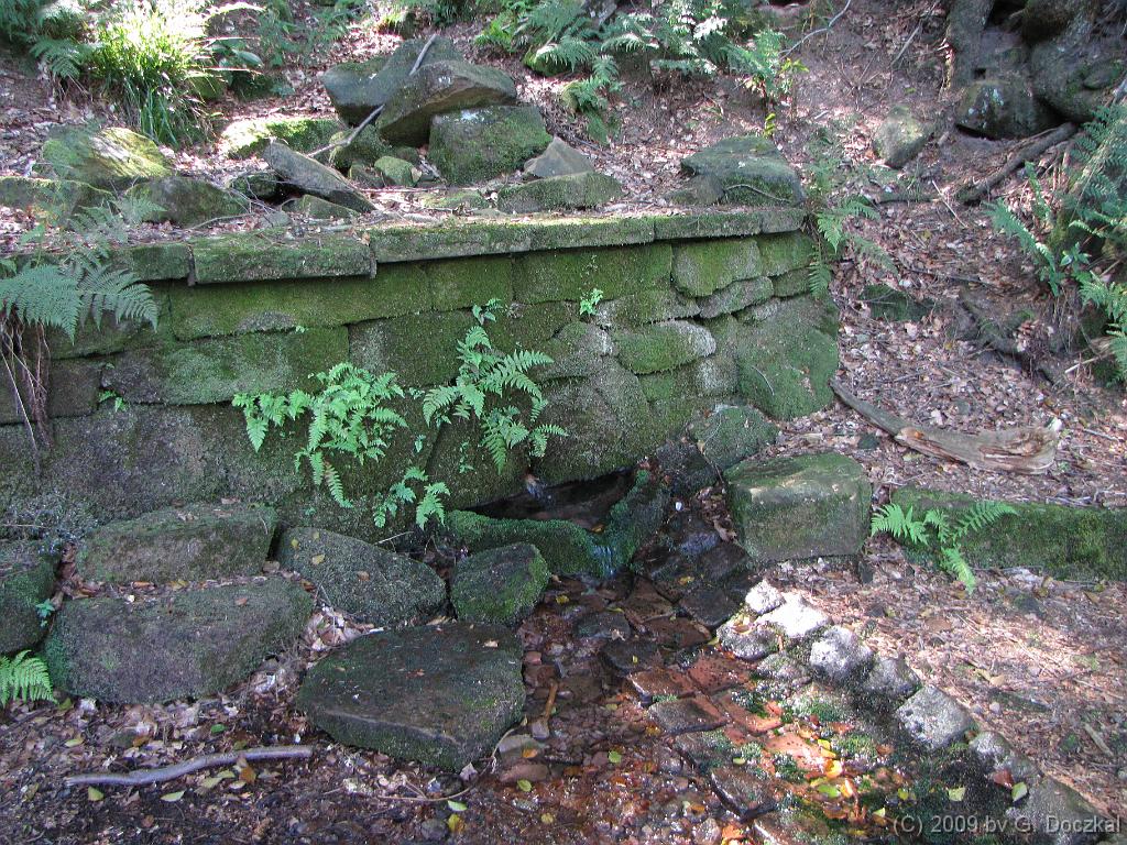20090819-124127-66