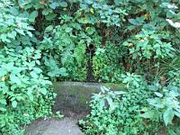  (C) 2009 by G. Doczkal, 
Brunnen, 
48.834538°N/8.357674°E, 2.06  Km von Michelbach, Baden-Württemberg, Germany