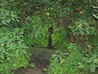  (C) 2009 by G. Doczkal, 
Brunnen, 
48.834408°N/8.357888°E, 2.06  Km von Michelbach, Baden-Württemberg, Germany