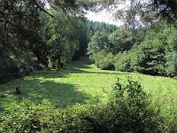  (C) 2009 by G. Doczkal, 
Waldwiese, 
48.830151°N/8.365270°E, 1.87  Km von Michelbach, Baden-Württemberg, Germany