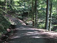  (C) 2009 by G. Doczkal, 
Ein Bach kreuzt den Weg, 
48.830360°N/8.367427°E, 1.99  Km von Michelbach, Baden-Württemberg, Germany