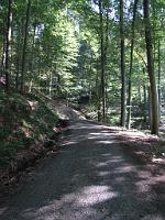  (C) 2009 by G. Doczkal, 
Ein Bach kreuzt den Weg, 
48.830360°N/8.367427°E, 1.99  Km von Michelbach, Baden-Württemberg, Germany