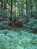  (C) 2009 by G. Doczkal, 
Wald, 
48.830406°N/8.370222°E, 2.13  Km von Michelbach, Baden-Württemberg, Germany