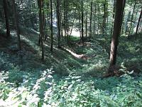  (C) 2009 by G. Doczkal, 
Wald, 
48.825050°N/8.386489°E, 1.35  Km von Bernbach, Baden-Württemberg, Germany
