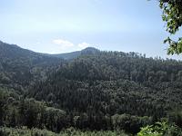  (C) 2009 by G. Doczkal, 
Der Bernstein, 
48.822891°N/8.390622°E, 1.35  Km von Bernbach, Baden-Württemberg, Germany