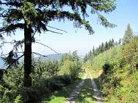  (C) 2009 by G. Doczkal, 
Aussicht vom Tannschachberg, 
48.813263°N/8.403164°E, 2.24  Km von Bernbach, Baden-Württemberg, Germany