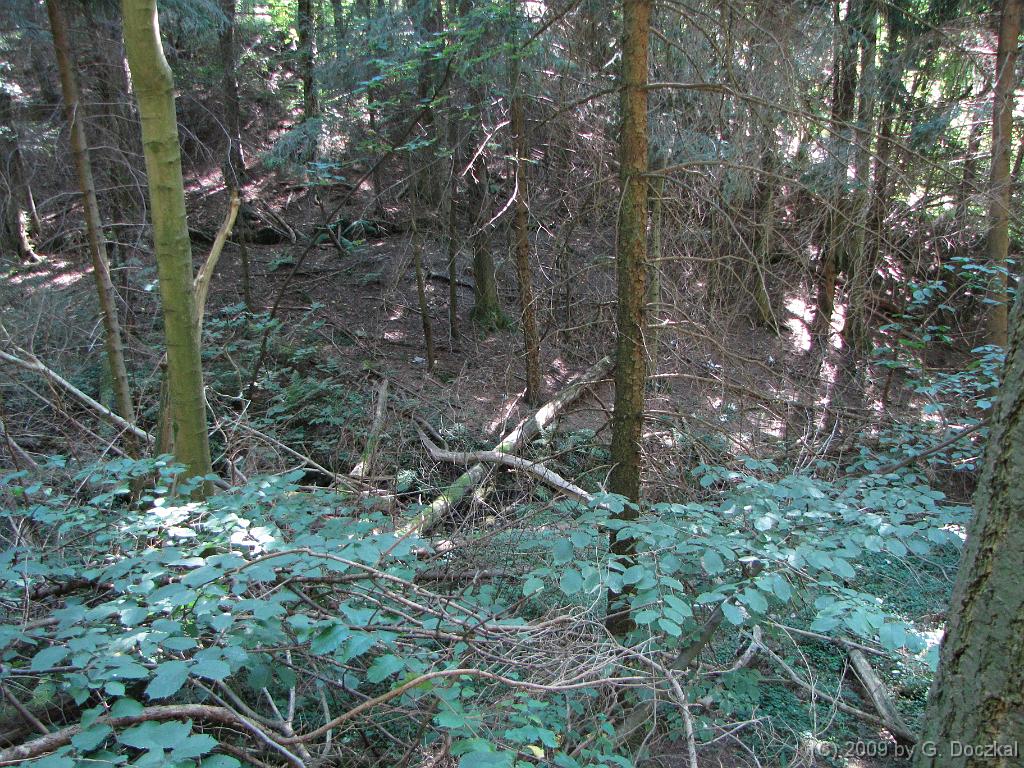 20090901-135135-48