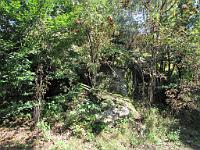  (C) 2009 by G. Doczkal, 
Felsen, 
48.690075°N/8.218387°E, 1.54  Km von Hungerberg, Baden-Württemberg, Germany