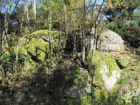  (C) 2009 by G. Doczkal, 
Felsen, 
48.690098°N/8.218813°E, 1.57  Km von Hungerberg, Baden-Württemberg, Germany
