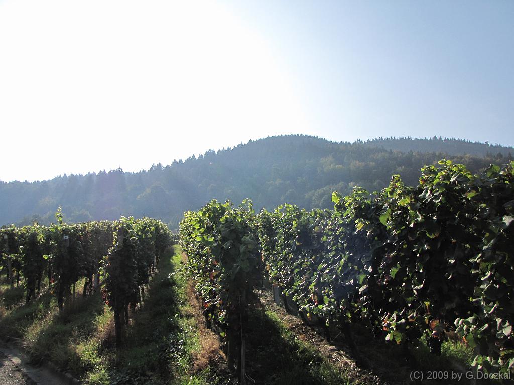 20090926-101657-1