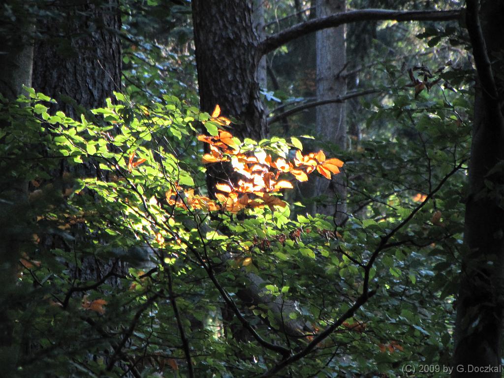 20090926-105238-6