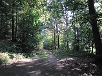  (C) 2009 by G. Doczkal, 
Waldweg, 
48.708469°N/8.180353°E, 0.94  Km von Schneckenbach, Baden-Württemberg, Germany