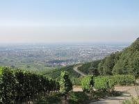  (C) 2009 by G. Doczkal, 
Blick ins Rheintal, 
48.703243°N/8.176048°E, 0.78  Km von Untertal, Baden-Württemberg, Germany