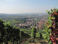  (C) 2009 by G. Doczkal, 
Blick auf Altschweier, 
48.702415°N/8.169307°E, 0.33  Km von Untertal, Baden-Württemberg, Germany