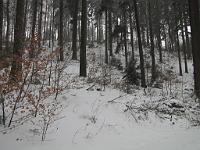  (C) 2010 by G. Doczkal, 
Winterwald, 
48.833763°N/8.364215°E, 2.17  Km von Michelbach, Baden-Württemberg, Germany