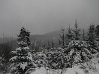  (C) 2010 by G. Doczkal, 
Winterwald, 
48.836151°N/8.362680°E, 2.16  Km von Freiolsheim, Baden-Württemberg, Germany