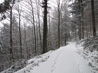  (C) 2010 by G. Doczkal, 
Winterwald, 
48.834171°N/8.354221°E, 1.97  Km von Michelbach, Baden-Württemberg, Germany