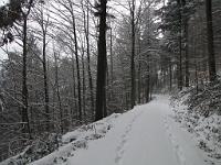  (C) 2010 by G. Doczkal, 
Winterwald, 
48.834171°N/8.354221°E, 1.97  Km von Michelbach, Baden-Württemberg, Germany