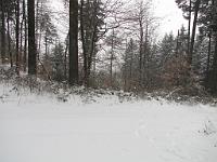  (C) 2010 by G. Doczkal, 
Winterwald, 
48.833748°N/8.351348°E, 1.90  Km von Michelbach, Baden-Württemberg, Germany