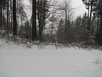  (C) 2010 by G. Doczkal, 
Winterwald, 
48.833748°N/8.351348°E, 1.90  Km von Michelbach, Baden-Württemberg, Germany