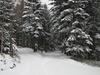  (C) 2010 by G. Doczkal, 
Winterwald, 
48.838337°N/8.349988°E, 2.41  Km von Michelbach, Baden-Württemberg, Germany