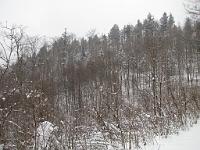  (C) 2010 by G. Doczkal, 
Winterwald, 
48.838161°N/8.351753°E, 2.39  Km von Michelbach, Baden-Württemberg, Germany