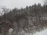  (C) 2010 by G. Doczkal, 
Winterwald, 
48.838161°N/8.351753°E, 2.39  Km von Michelbach, Baden-Württemberg, Germany