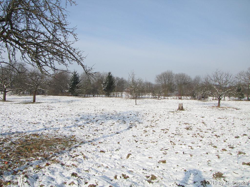 20100127-111846-1