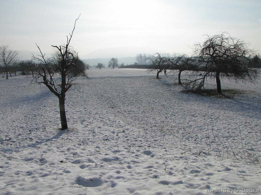 20100127-112603-4