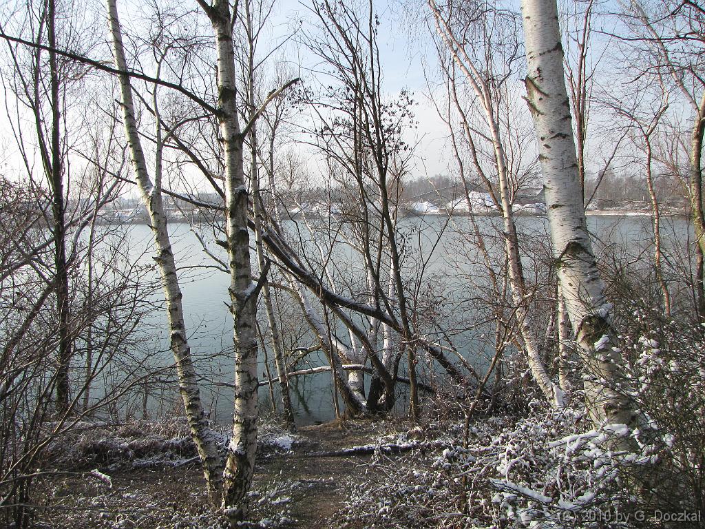 20100127-113948-5