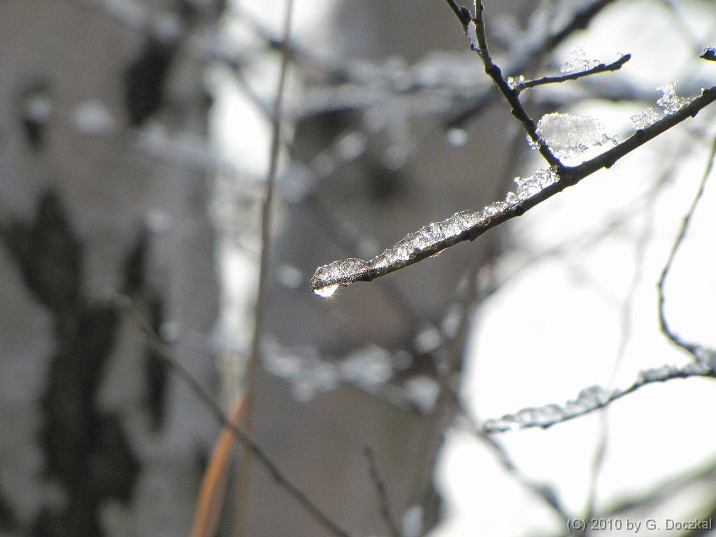 20100127-114314-9