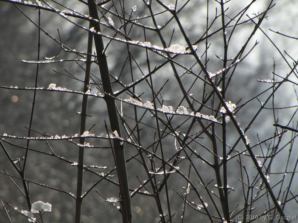 20100127-114714-15