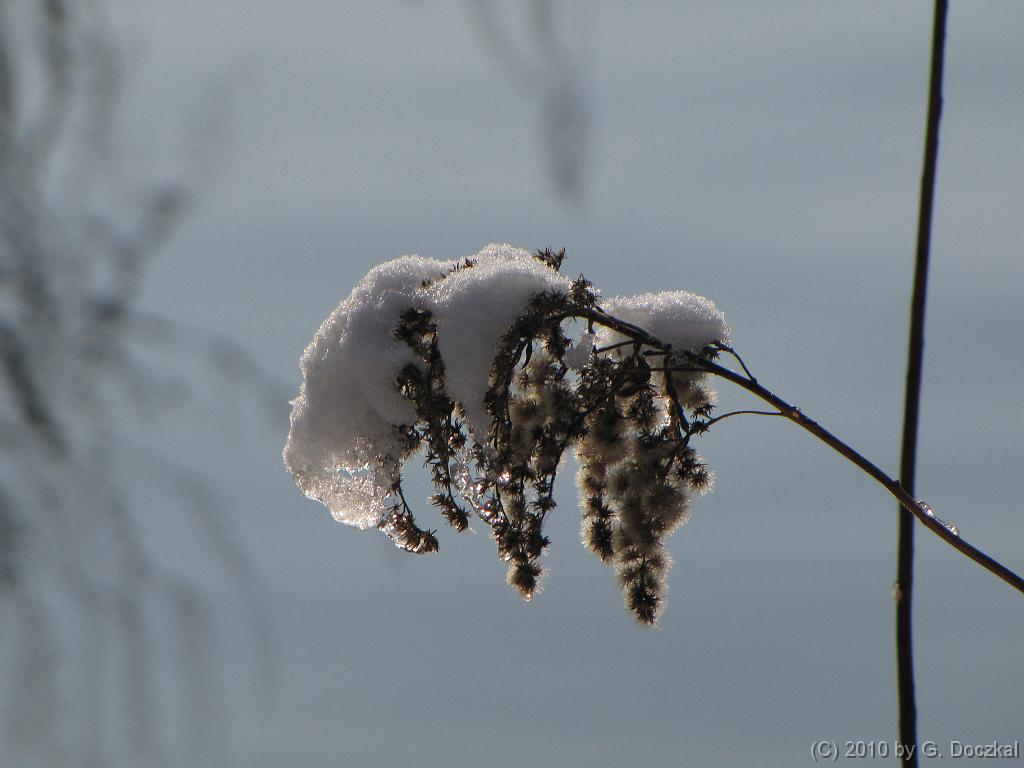 20100127-114823-18