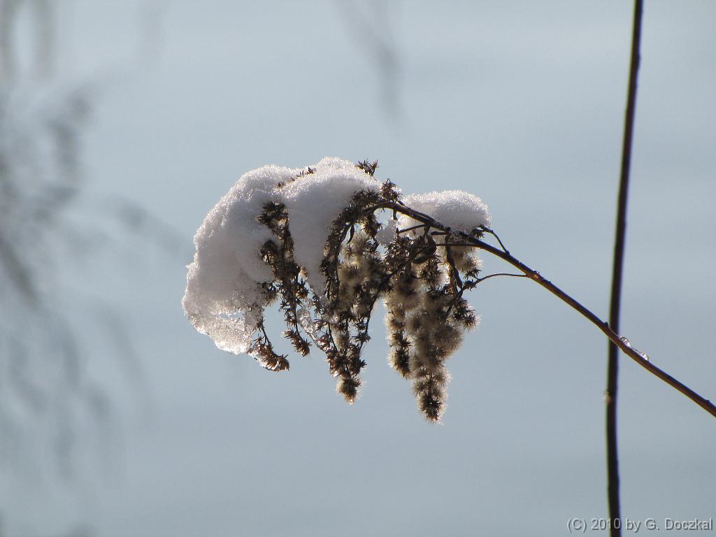 20100127-114841-19