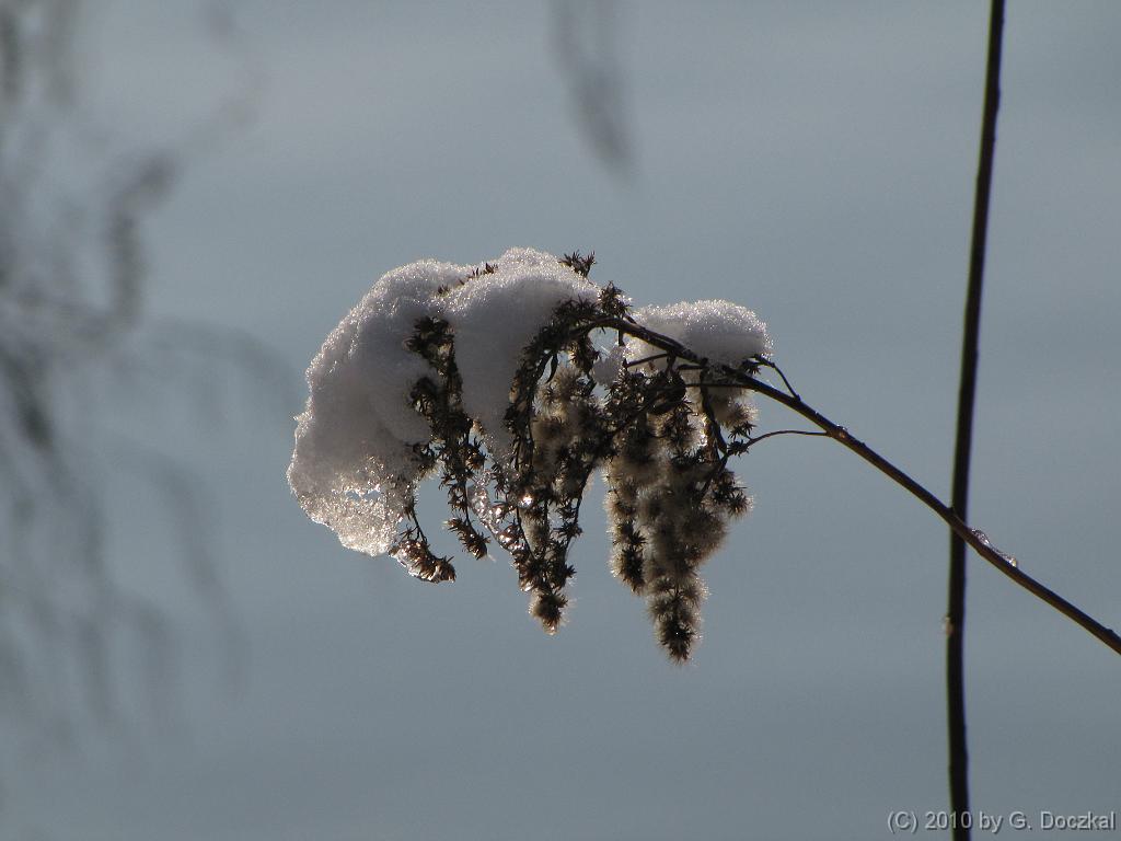 20100127-114842-20